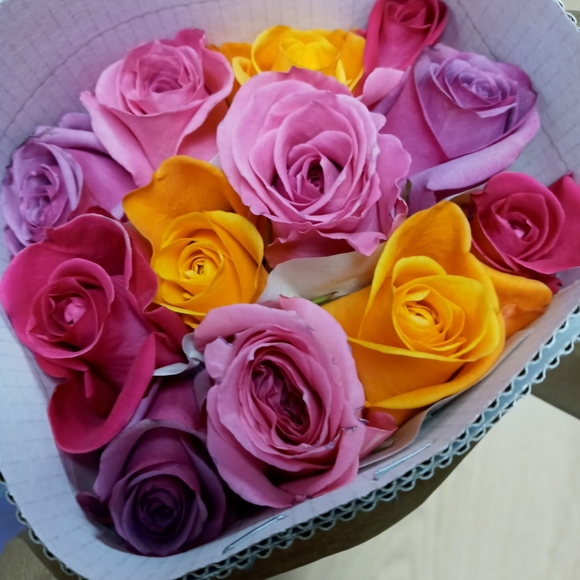 Meet your Posher, Linda - Picture 2 of 2